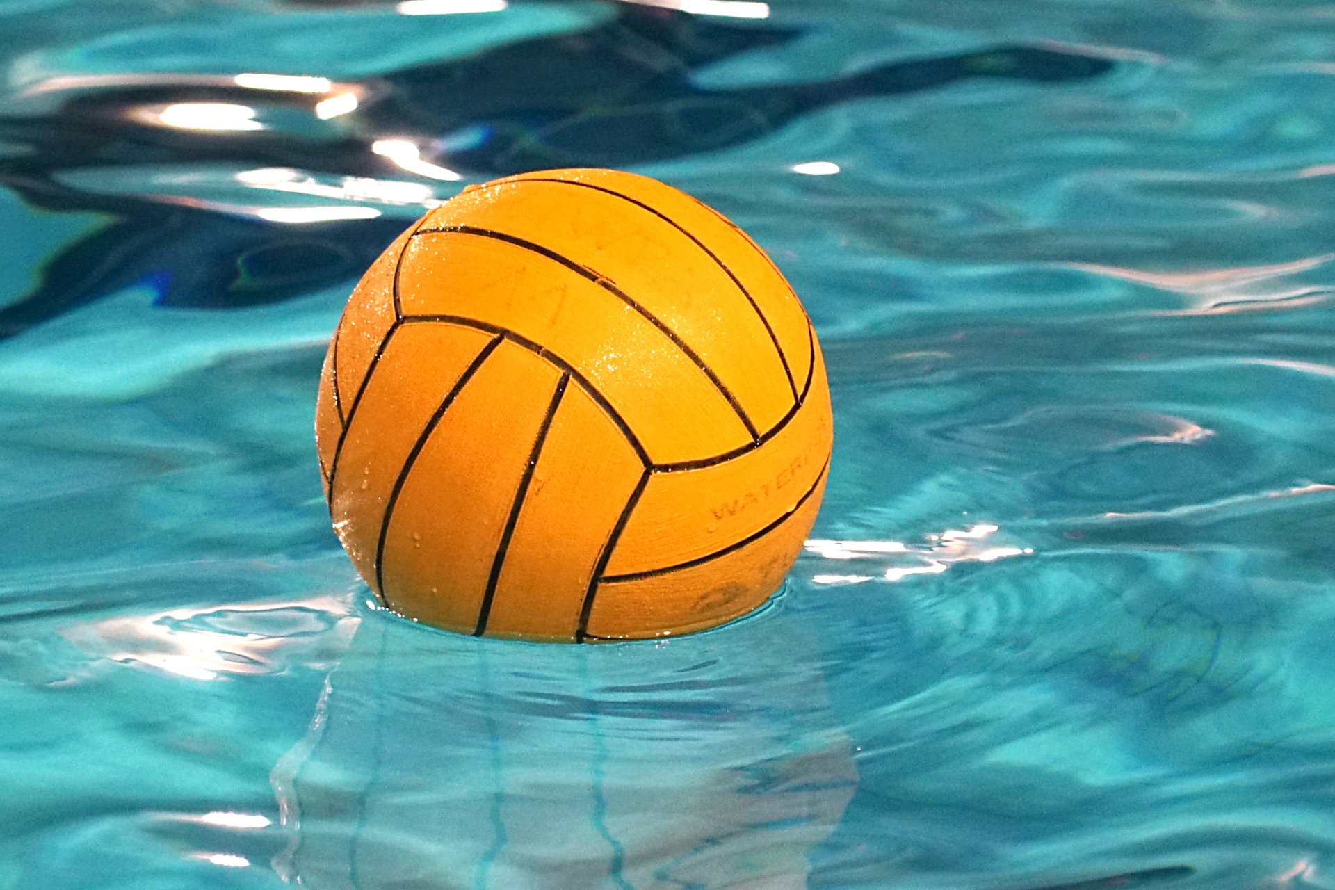 BIWPA ® | Water Polo Barcelona